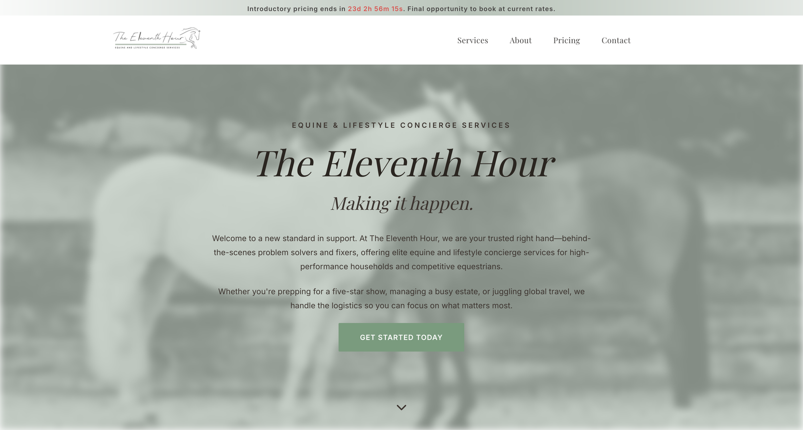The Eleventh Hour Website